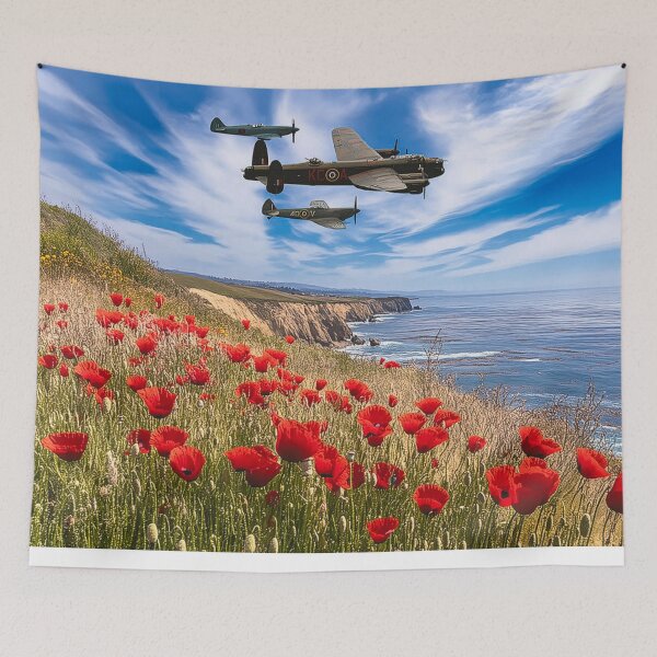 Item preview, Battle of Britain Memorial Flight designed and sold by Skyframe Aviation.
