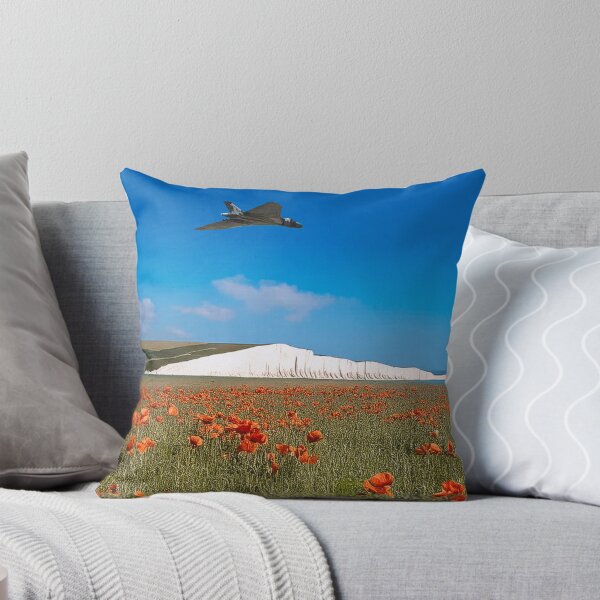 Item preview, XH558 Paying Respect designed and sold by Skyframe Aviation.