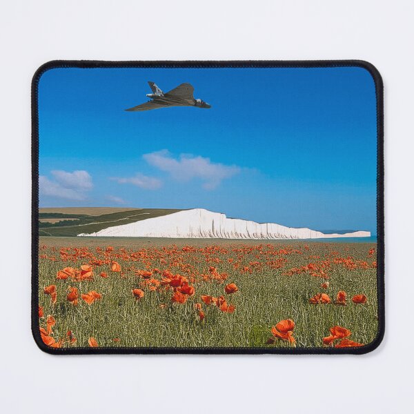 Item preview, XH558 Paying Respect designed and sold by Skyframe Aviation.