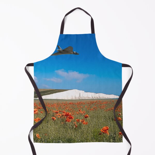 Item preview, XH558 Paying Respect designed and sold by Skyframe Aviation.