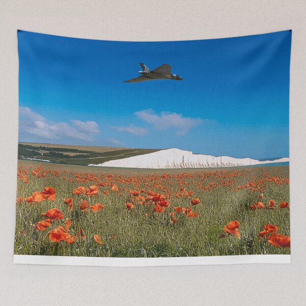 Item preview, XH558 Paying Respect designed and sold by Skyframe Aviation.