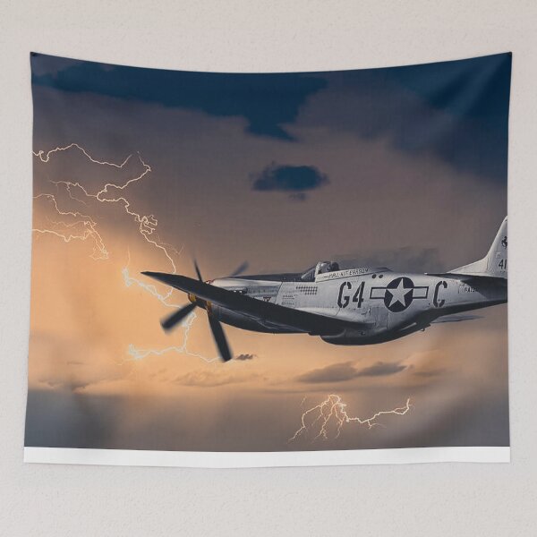 Item preview, Mustang P-51D in Peacetime designed and sold by Skyframe Aviation.