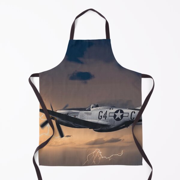 Item preview, Mustang P-51D in Peacetime designed and sold by Skyframe Aviation.