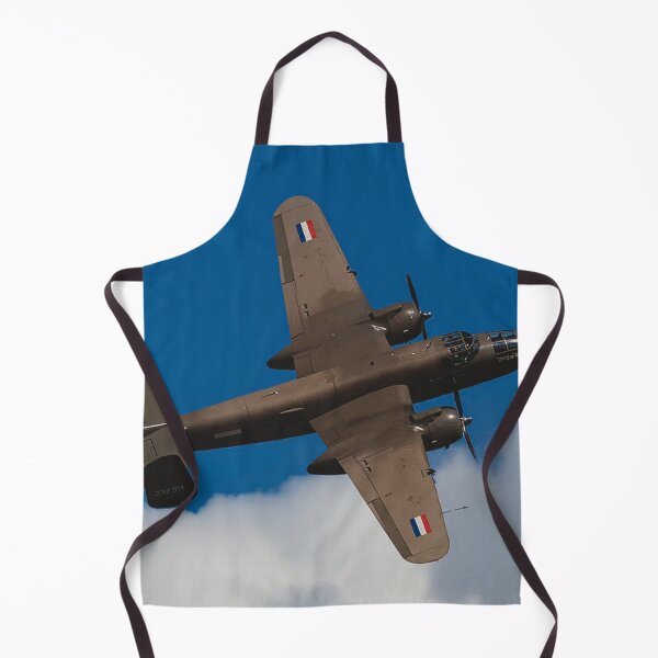 Item preview, B25 Mitchell designed and sold by Skyframe Aviation.