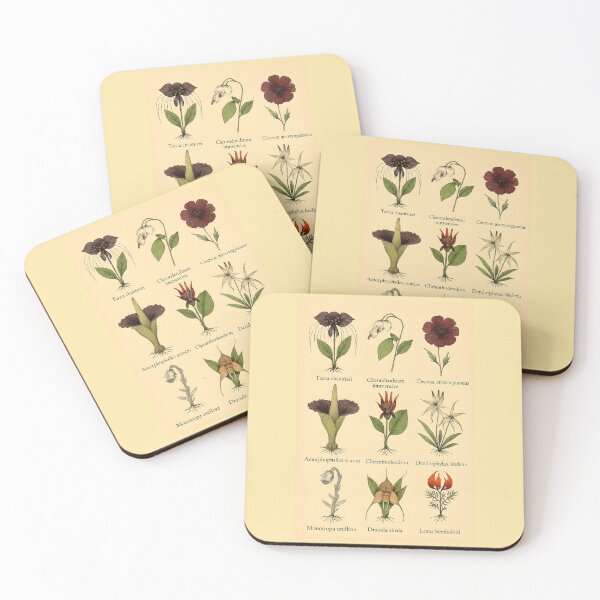 Item preview, Rare Botanical Illustration Collection — 9 Exotic and Unusual Plants Art Print designed and sold by WhisperFrame.