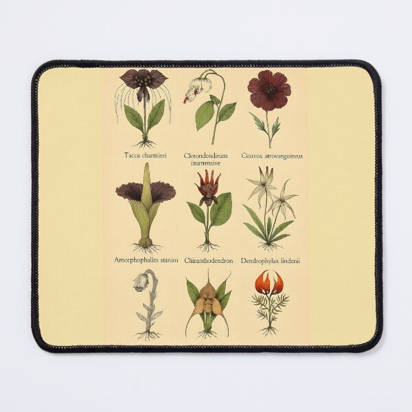 Item preview, Rare Botanical Illustration Collection — 9 Exotic and Unusual Plants Art Print designed and sold by WhisperFrame.