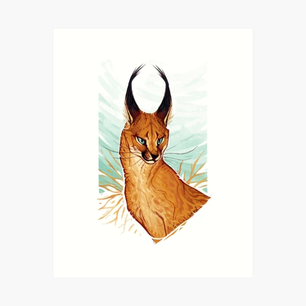 aps,504x498,medium,transparent