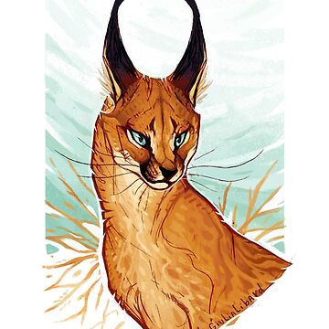 Caracal 