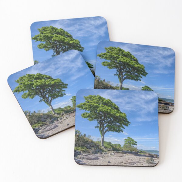 Item preview, Standing Tall on the Bute Coast, Scotland designed and sold by Kasia Design.
