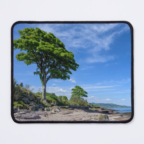 Item preview, Standing Tall on the Bute Coast, Scotland designed and sold by Kasia Design.