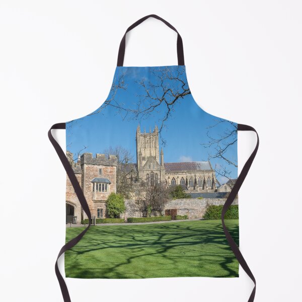 Item preview, Wells Cathedral 2 designed and sold by Dave Hare Photography.