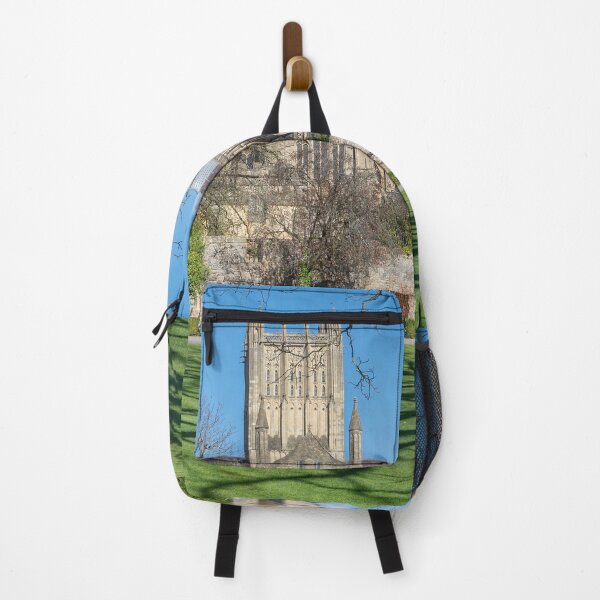 Item preview, Wells Cathedral 2 designed and sold by Dave Hare Photography.