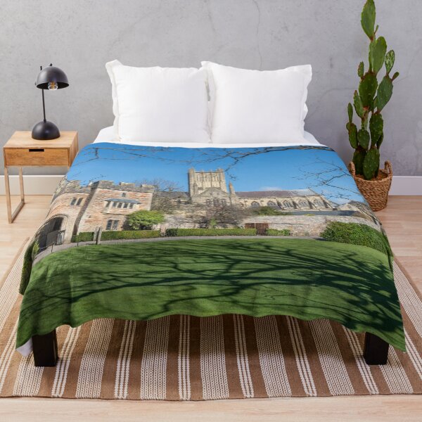 Item preview, Wells Cathedral 2 designed and sold by Dave Hare Photography.
