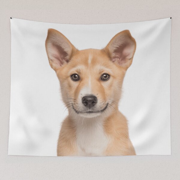 Item preview, Adorable Baby Canaan for Cute Canaanite dog puppy lovers designed and sold by LazyOwlStore.