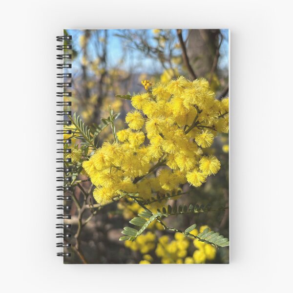 Item preview, Wattle Blossom, Blue Mountains, Australia designed and sold by smh2.