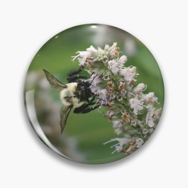 Item preview, Bumblebee on Wildflower – Macro Nature Photography designed and sold by Always Special and Personal.