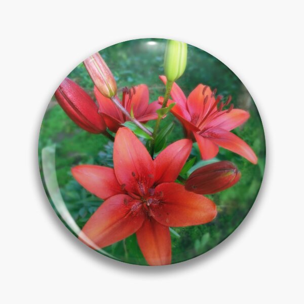 Item preview, Wood Lily Photo designed and sold by Sky-99.