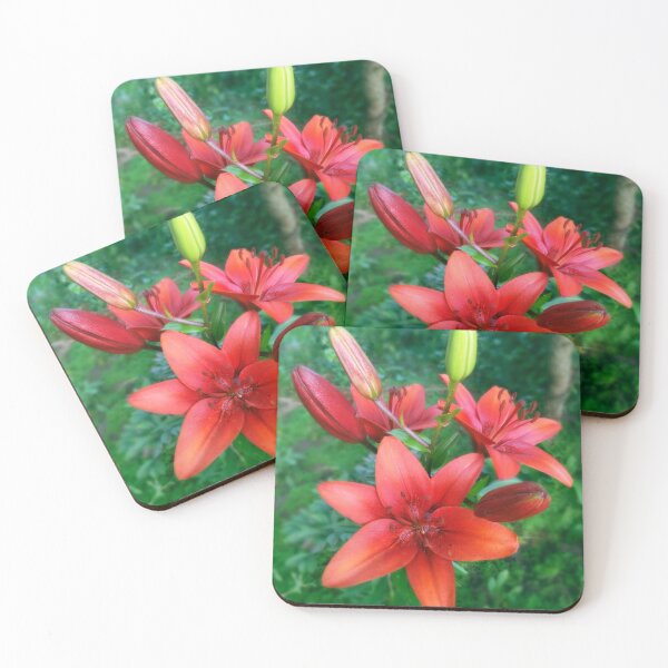 Item preview, Wood Lily Photo designed and sold by Sky-99.