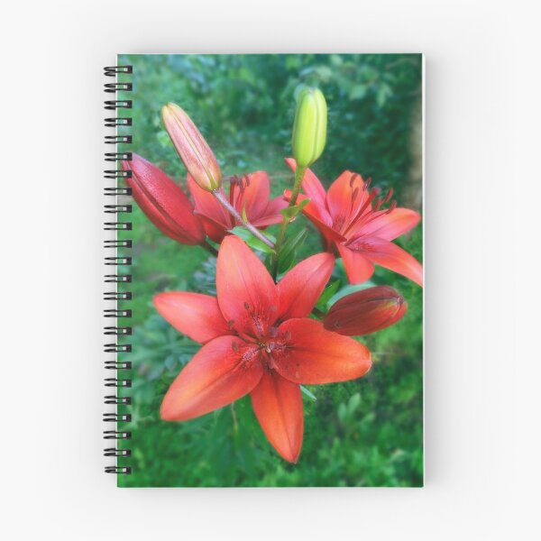 Item preview, Wood Lily Photo designed and sold by Sky-99.