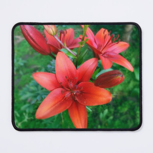 Item preview, Wood Lily Photo designed and sold by Sky-99.