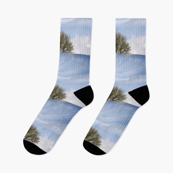 Item preview, Wispy clouds above the branches designed and sold by pinkal.