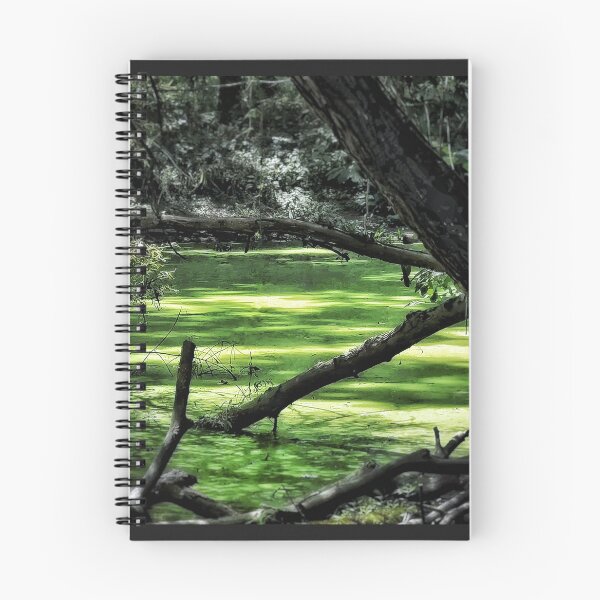 Item preview, Emerald Stillness – Hidden Forest Pool designed and sold by Dynahgrl.