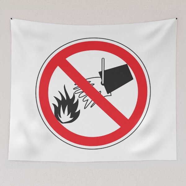 Item preview, No Water Throwing Sign, Circular Risk Prevention Signage according to INRS designed and sold by Panneaux et signalisations - NPOITEVIN.