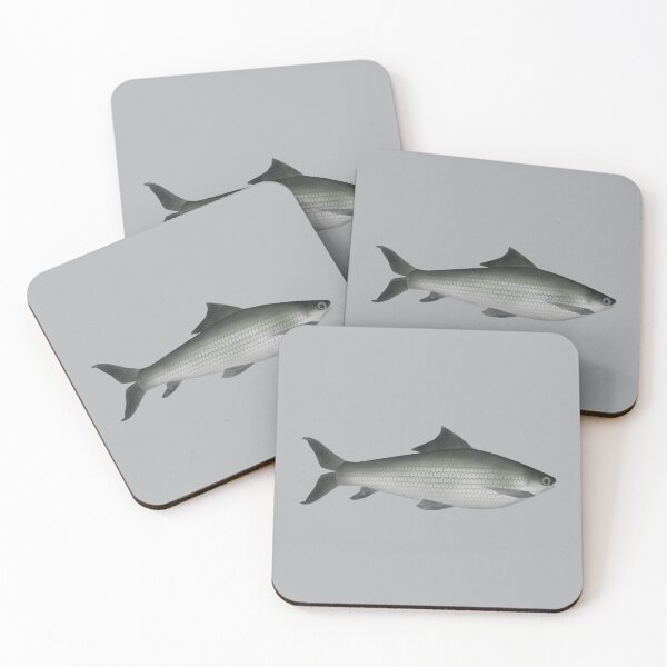 Item preview, Common Labeo designed and sold by fishfolkart.
