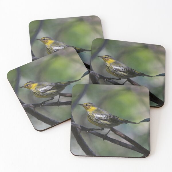 Item preview, Cape May Warbler designed and sold by EnglandEcology.