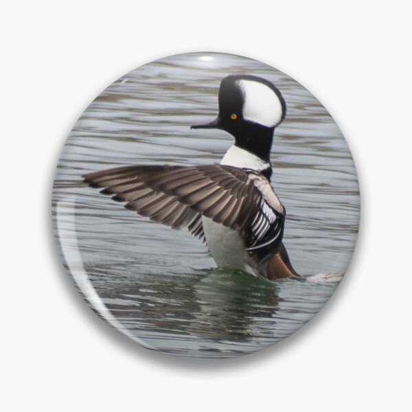 Item preview, Hooded Merganser designed and sold by SeeThemClearly.