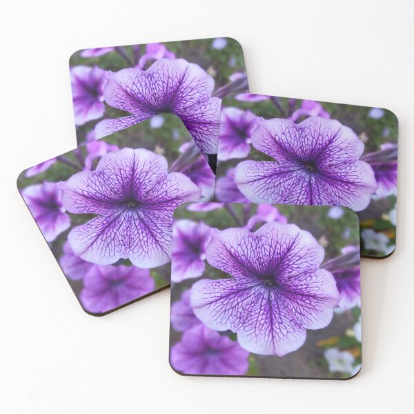 Item preview, Petunia Photo designed and sold by Sky-99.