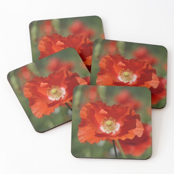 Item preview, icelandic poppy bloom, garden, flower, red, petals,  designed and sold by ImagesShared.