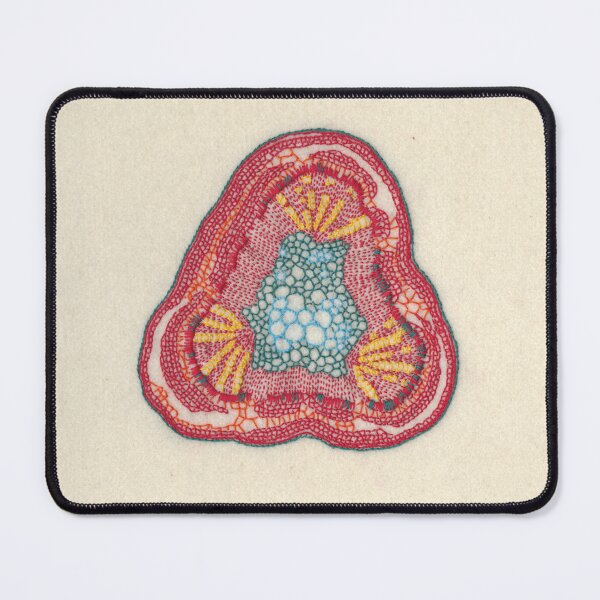 Item preview, Growing - Glycine (soy) - embroidery of plant cells designed and sold by VrijFormaat.