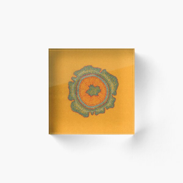 Item preview, Growing: Taxus - embroidery of plant cells designed and sold by VrijFormaat.