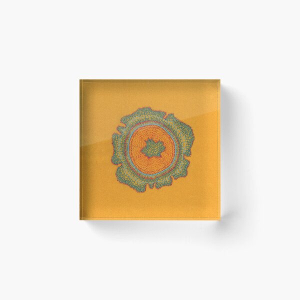 Item preview, Growing: Taxus - embroidery of plant cells designed and sold by VrijFormaat.