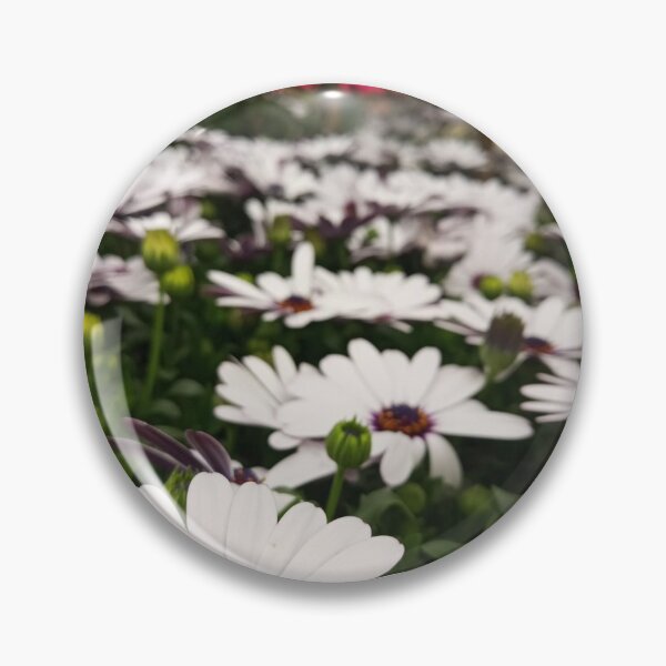 Item preview, The most beautiful daisies. designed and sold by Infinite Art.
