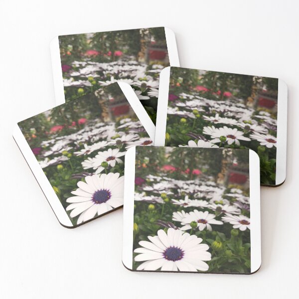 Item preview, The most beautiful daisies. designed and sold by Infinite Art.