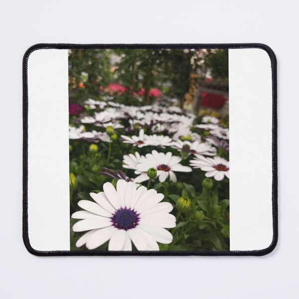 Item preview, The most beautiful daisies. designed and sold by Infinite Art.