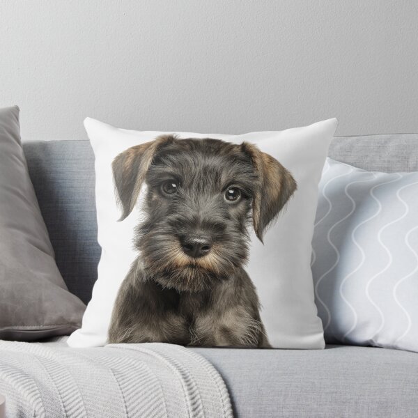 Item preview, Adorable Baby Cesky Terrier for Cute Czech Terrier puppy lovers designed and sold by LazyOwlStore.