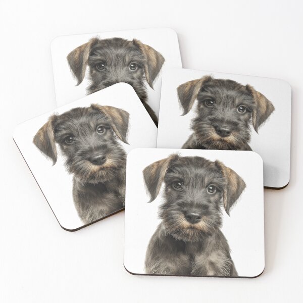 Item preview, Adorable Baby Cesky Terrier for Cute Czech Terrier puppy lovers designed and sold by LazyOwlStore.