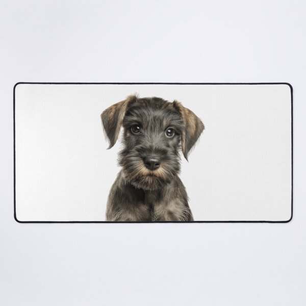 Item preview, Adorable Baby Cesky Terrier for Cute Czech Terrier puppy lovers designed and sold by LazyOwlStore.