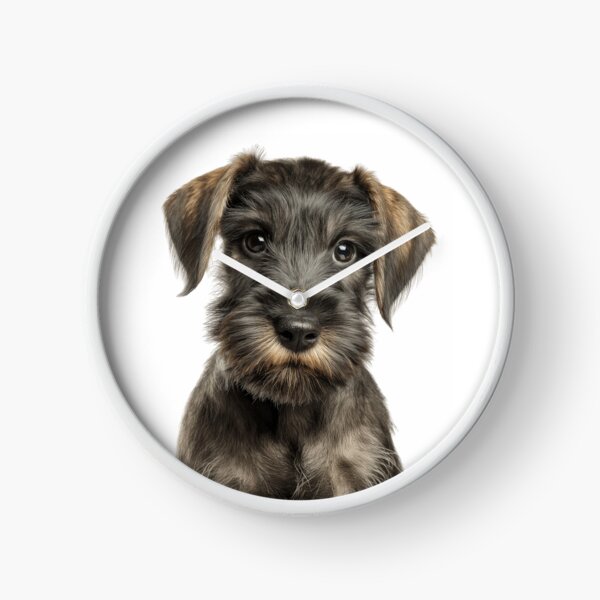 Item preview, Adorable Baby Cesky Terrier for Cute Czech Terrier puppy lovers designed and sold by LazyOwlStore.