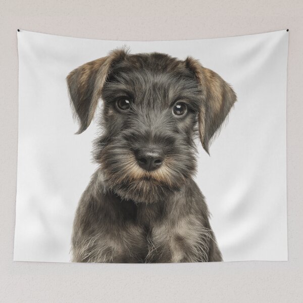 Item preview, Adorable Baby Cesky Terrier for Cute Czech Terrier puppy lovers designed and sold by LazyOwlStore.