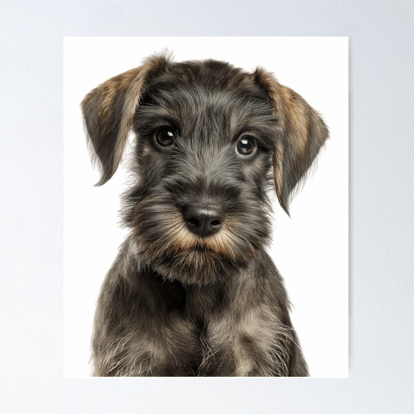 Item preview, Adorable Baby Cesky Terrier for Cute Czech Terrier puppy lovers designed and sold by LazyOwlStore.