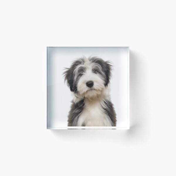 Item preview, Adorable Baby Polish Lowland Sheepdog for Cute PON puppy lovers designed and sold by LazyOwlStore.