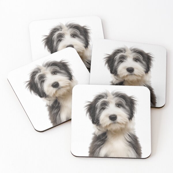 Item preview, Adorable Baby Polish Lowland Sheepdog for Cute PON puppy lovers designed and sold by LazyOwlStore.