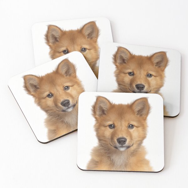 Item preview, Adorable Baby Finnish Spitz for Cute Finnish Spitz puppy lovers designed and sold by LazyOwlStore.