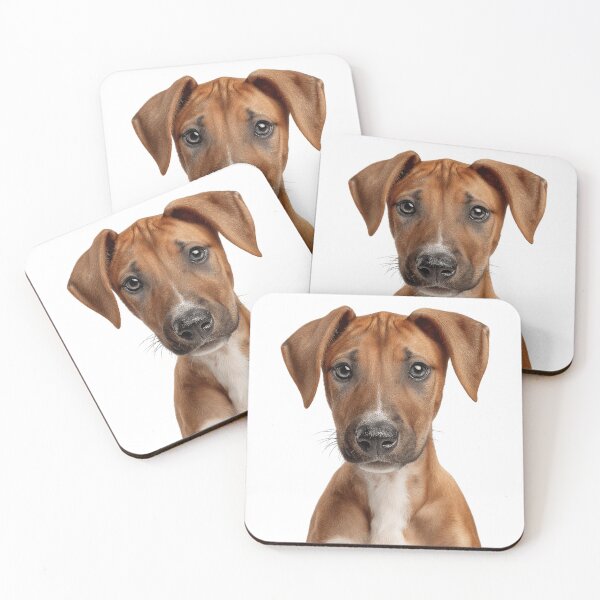 Item preview, Adorable Baby Azawakh for Cute Azawakh puppy lovers designed and sold by LazyOwlStore.