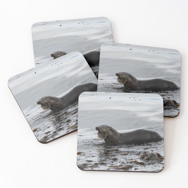 Artikelvorschau, Otter-Mittagszeit entworfen und verkauft von TinyDinoDesigns.