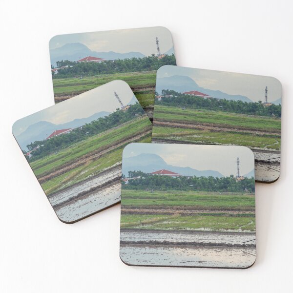 Item preview, Local Vietnamese Rice Farm in Hoi An, Vietnam designed and sold by WorldScenery.